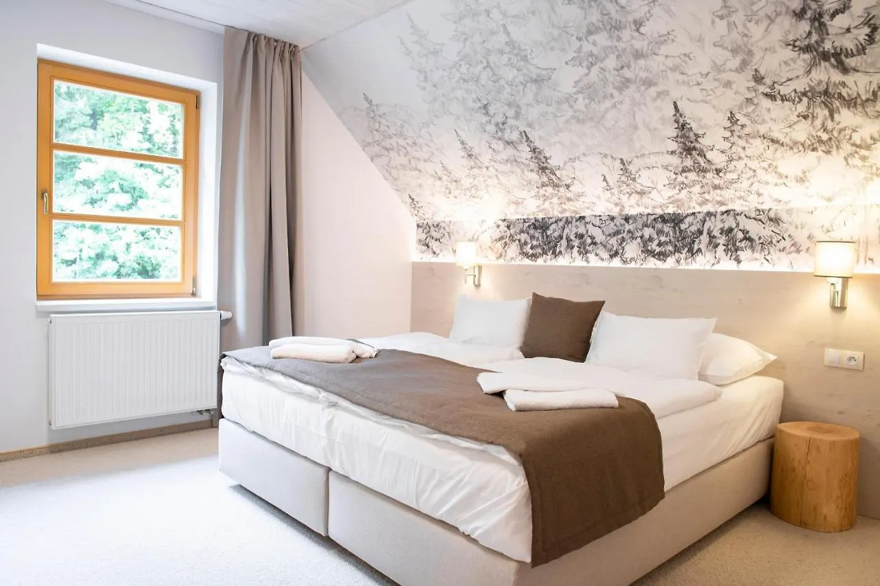 Amenity Hotel & Resort Špindlerŭv Mlýn 4*,  צ'כיה